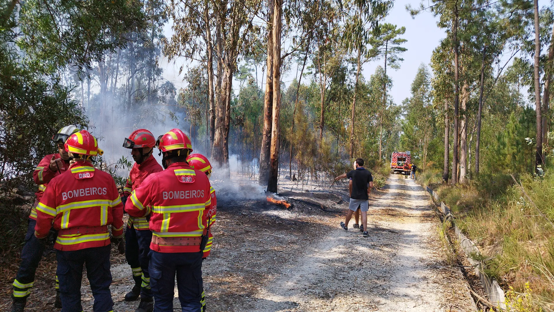 Bombeiros em ação