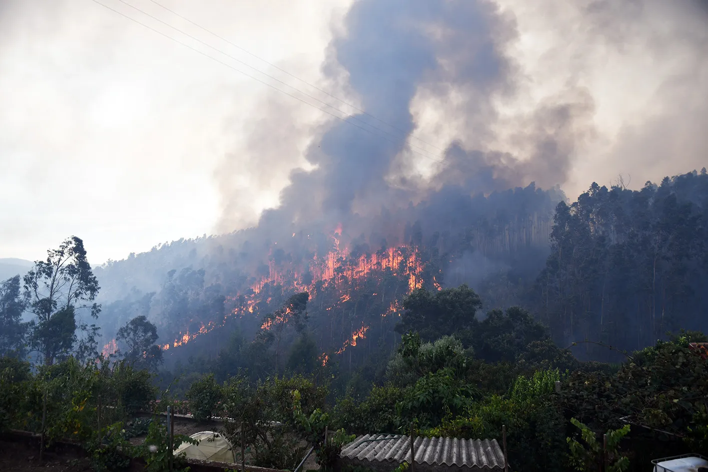 Cinzas incêndio