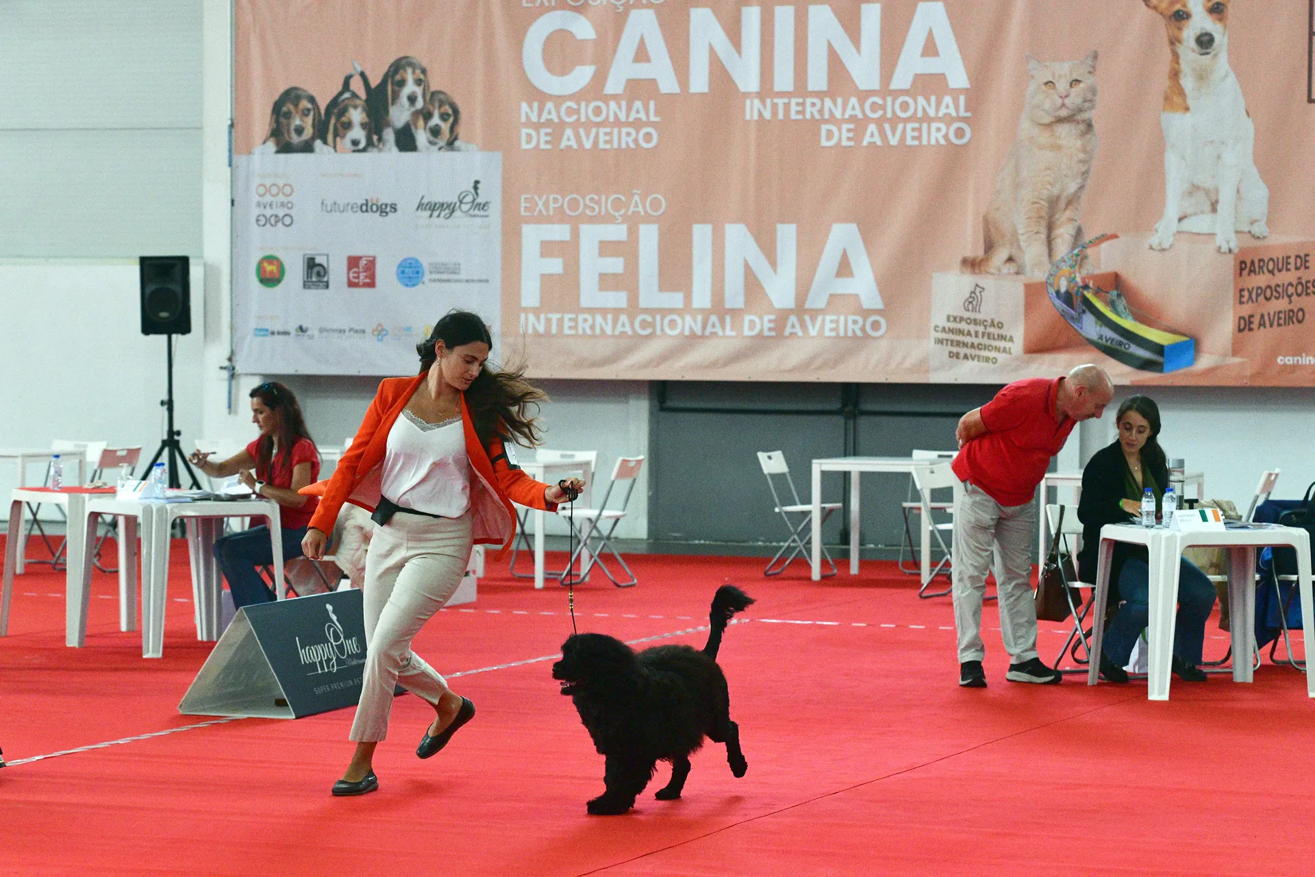 Exposição canina e felina aveiro 2024