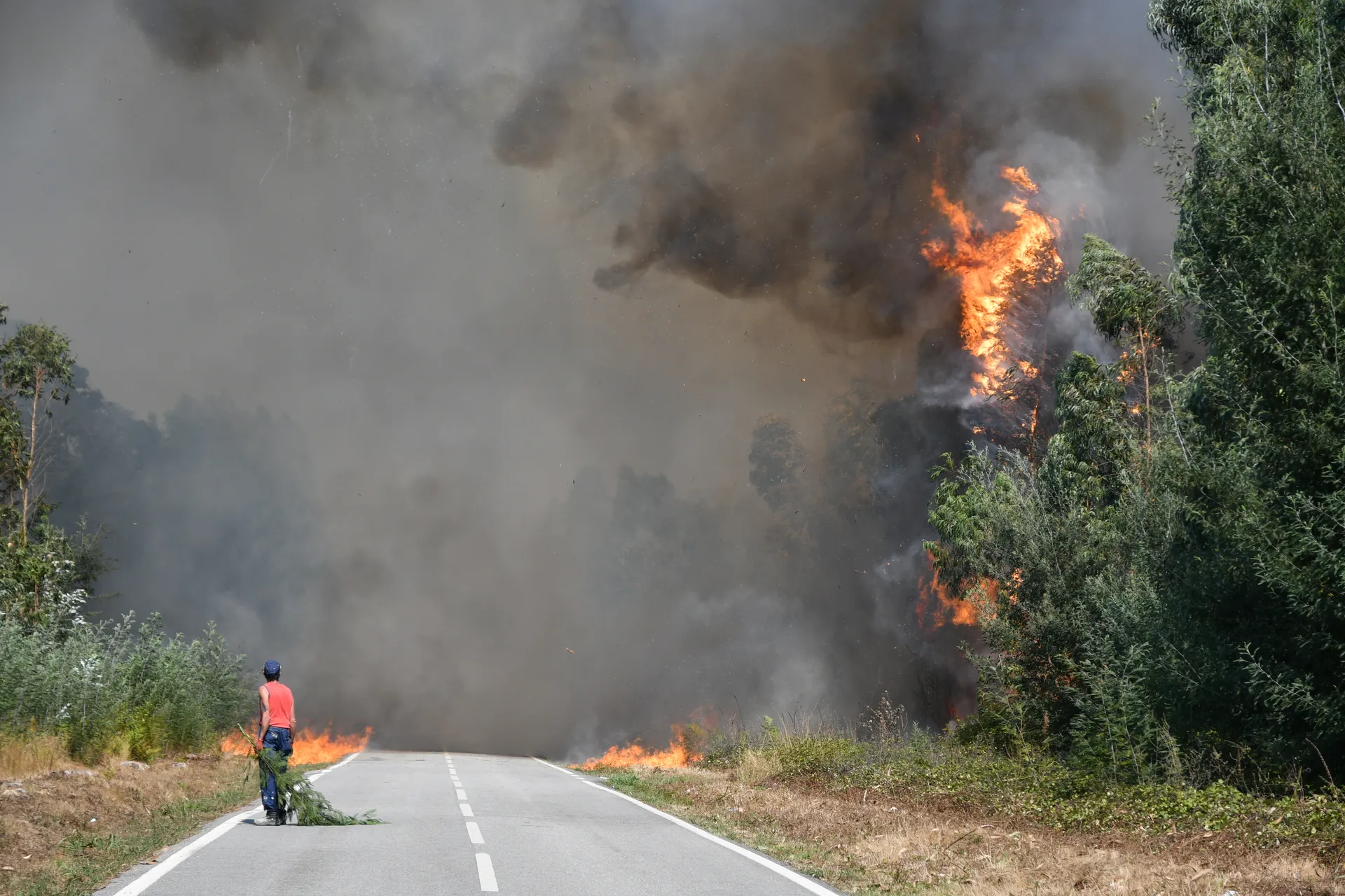 Incêndio albergaria 2024 pina 22