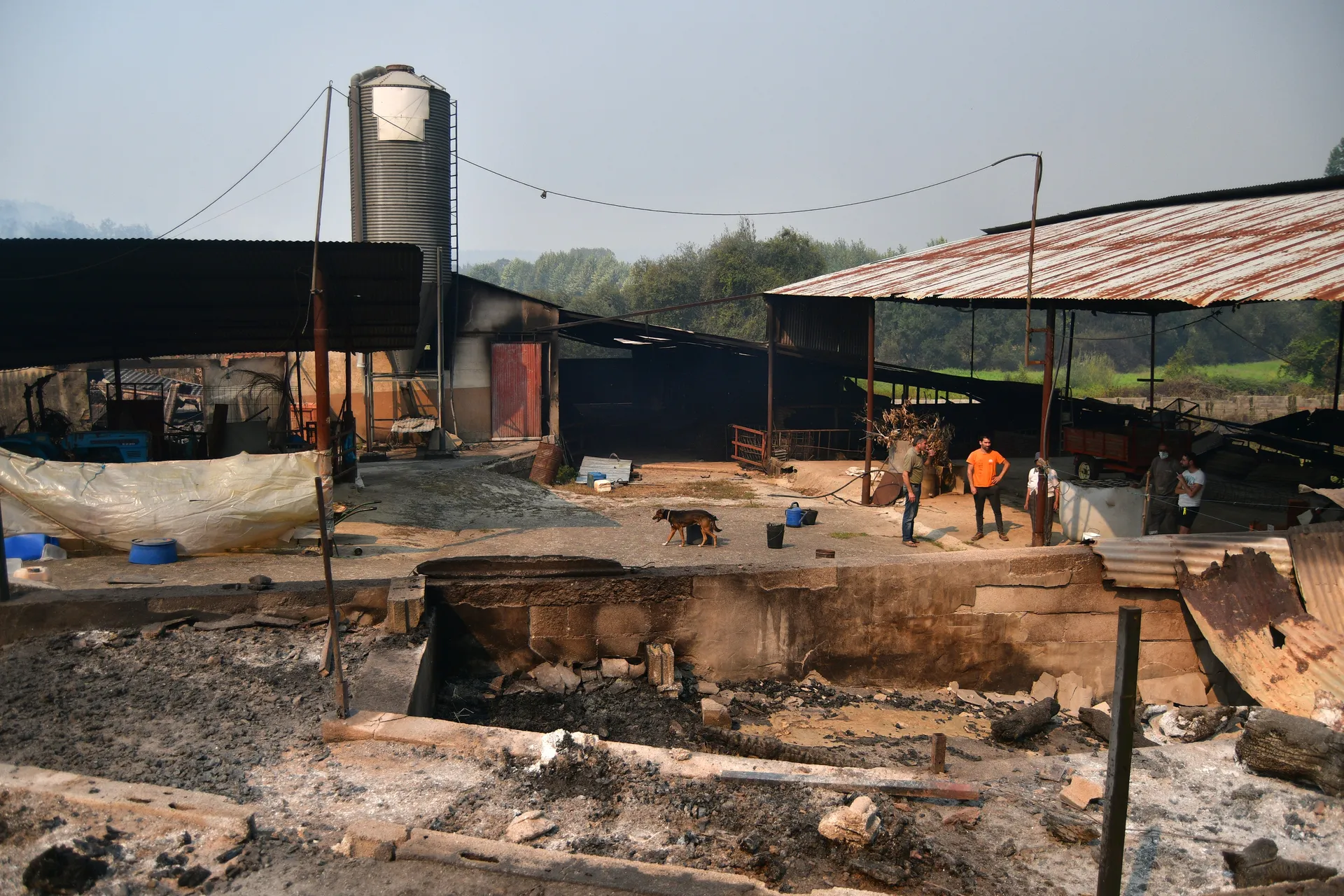 Incêndio em Águeda 2024 ricardo 15