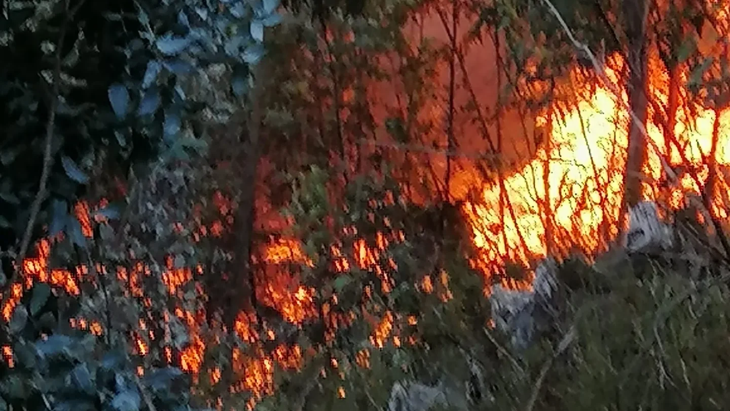 Incêndio oliveira de azeméis dr 2024 1