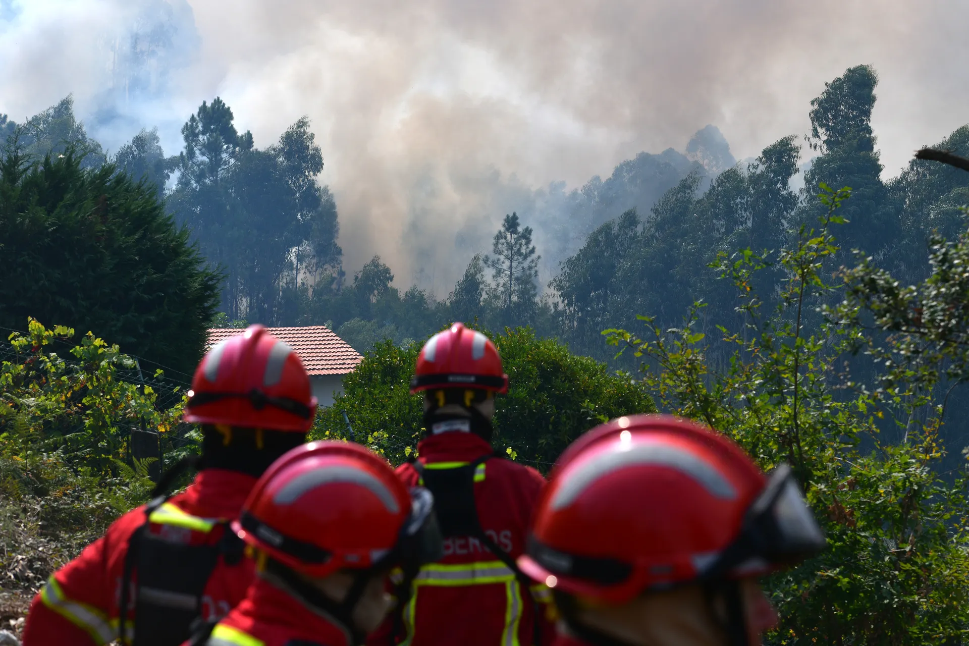 Incendio sever do vouga set2024 ep