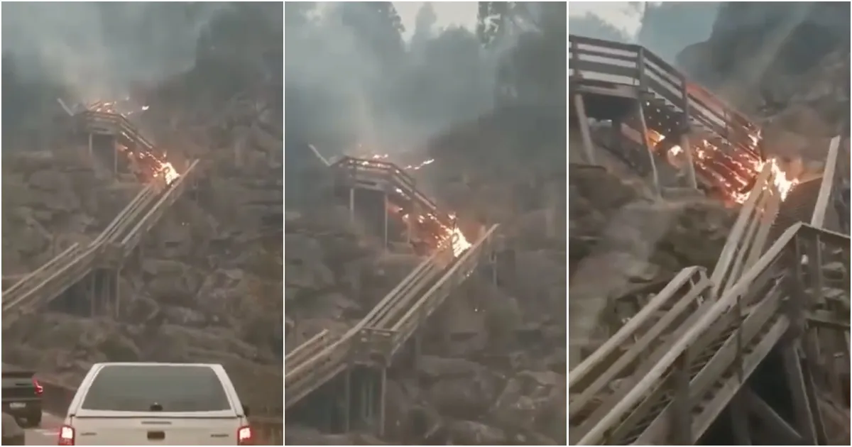 Passadicos do paiva foram atingidos pelo incendio em arouca