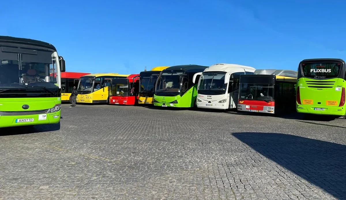 Auto Viação Feirense