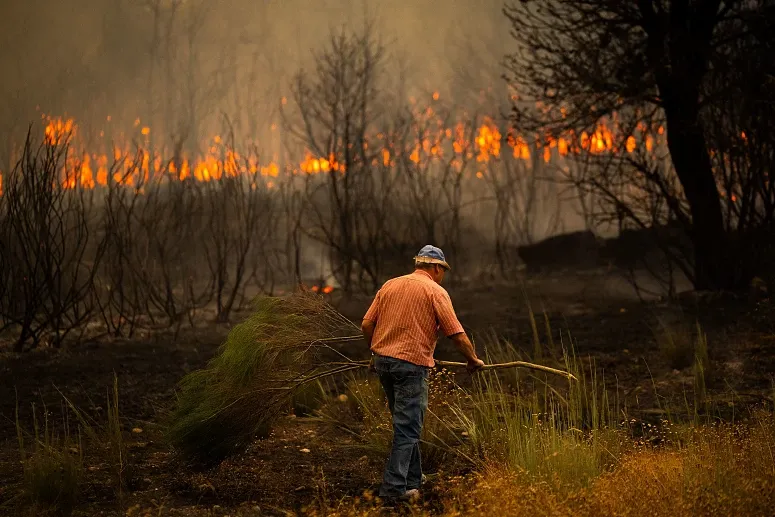 Incêndios Lusa