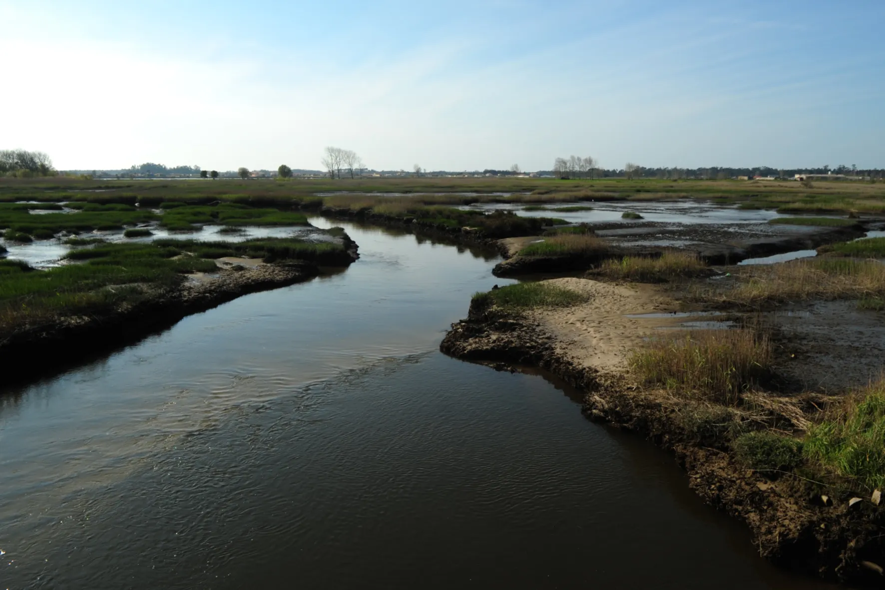 Ria De Aveiro