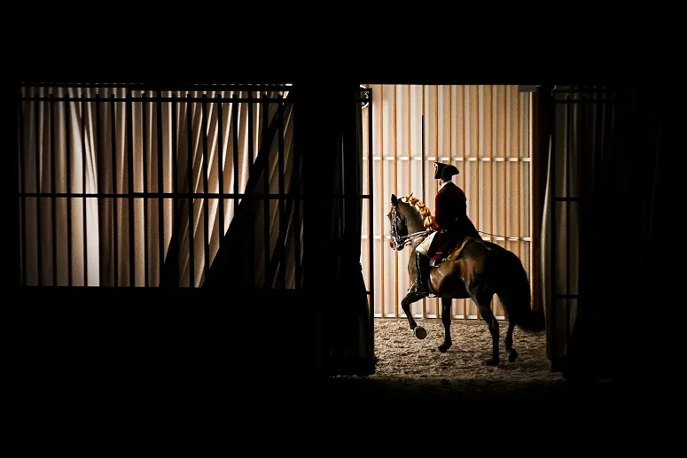 Arte Equestre Portuguesa Lusa