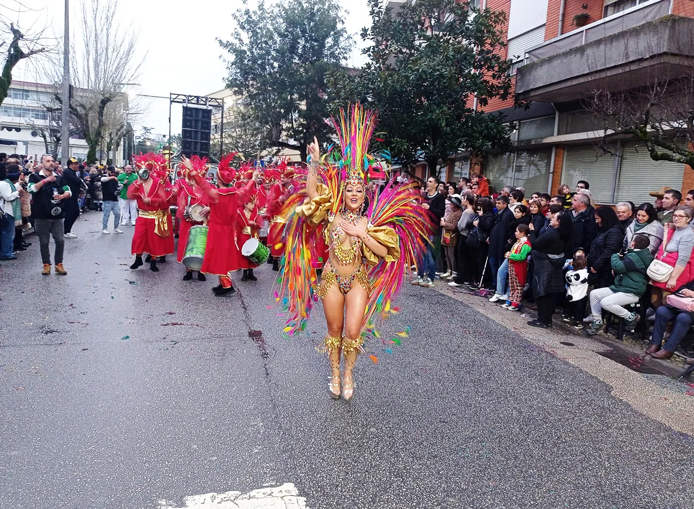 Carnaval Mealhada